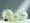 Ledragomma HI-FIT MAXAFE 53cm míč na cvičení v bílé perleťové barvě